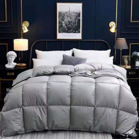 Down Duvet, Winter Duvet, Goose Down Duvet Core, Air Conditioner (Option: Grey-180x220cm-8)